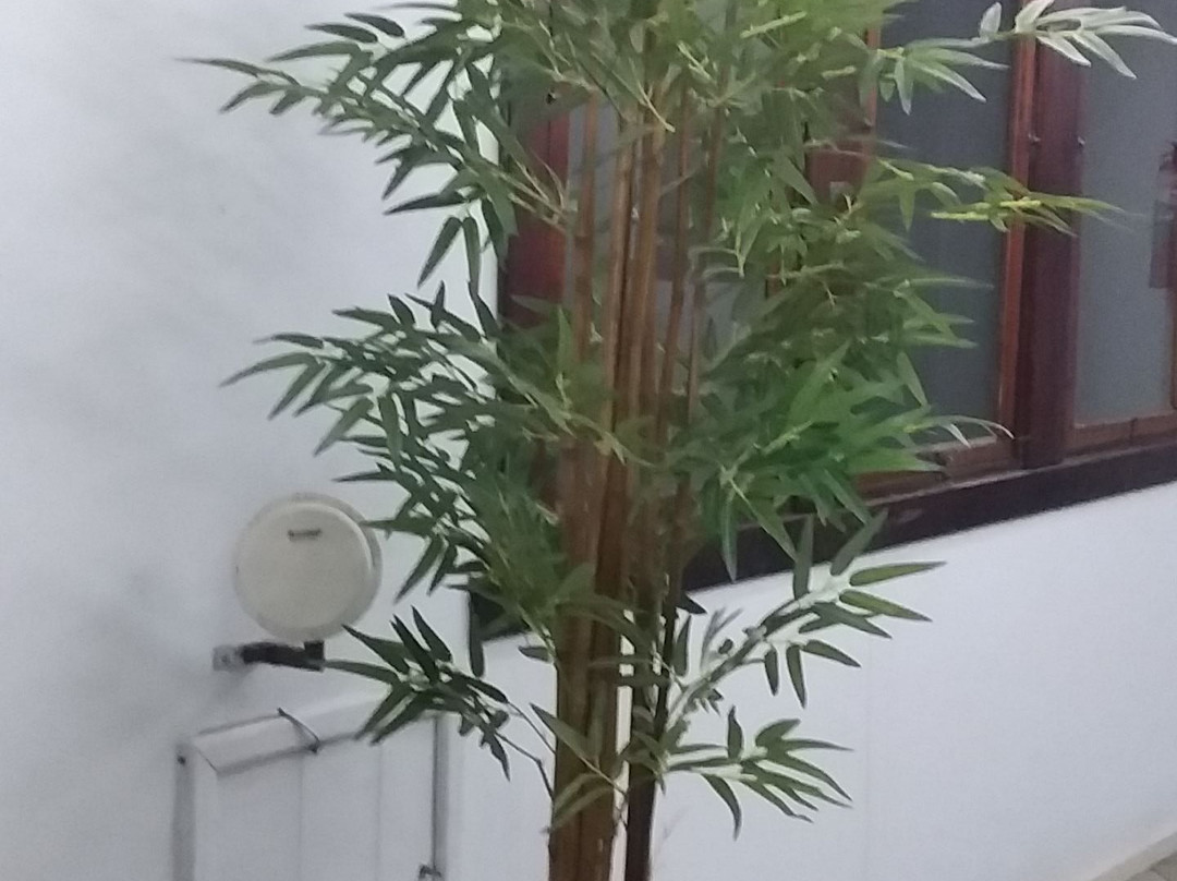 Hotel Caicara Bistro & Eventos主图