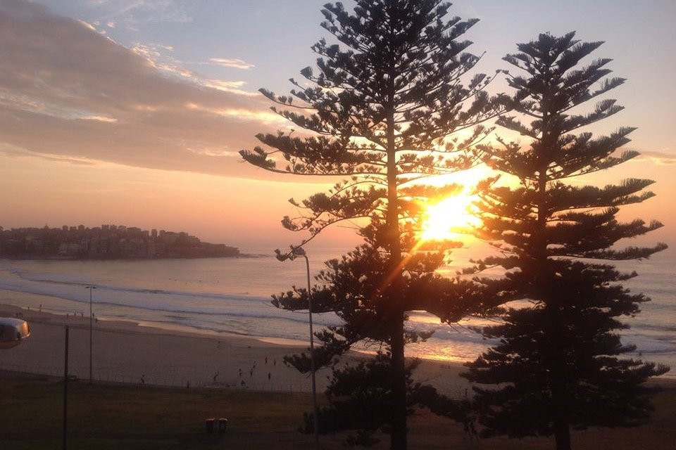 The Bondi Retreat景点图片