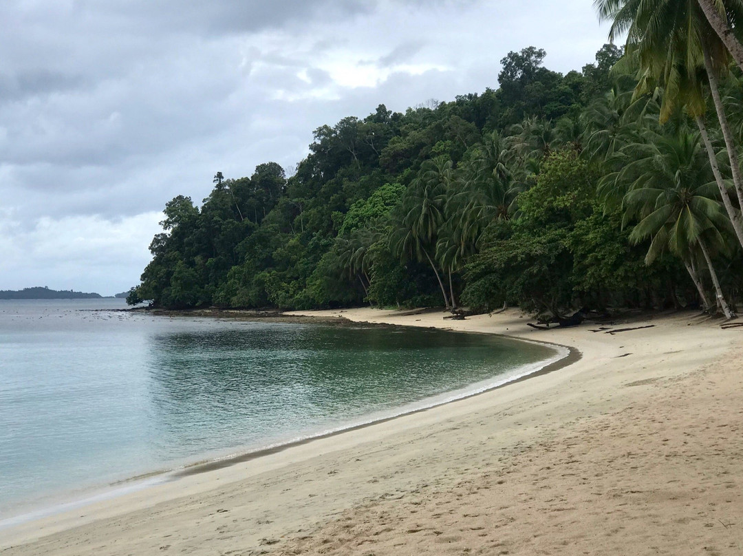 White Beach景点图片