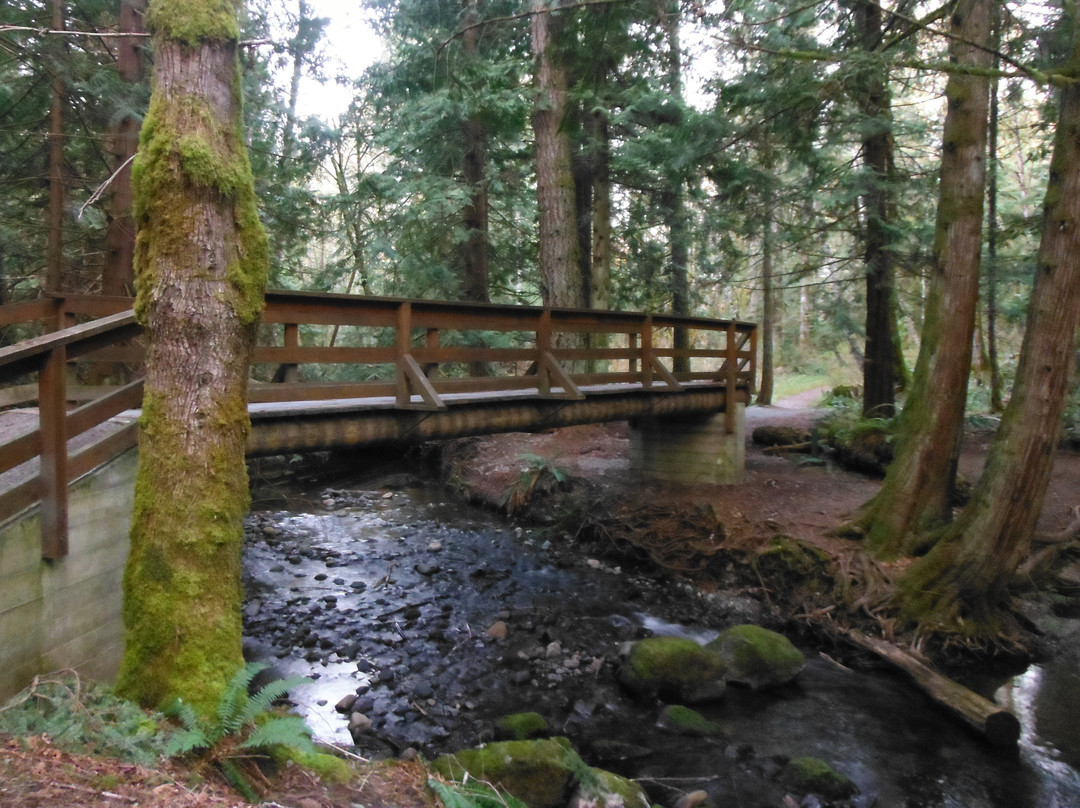 Stocking Creek Trail景点图片