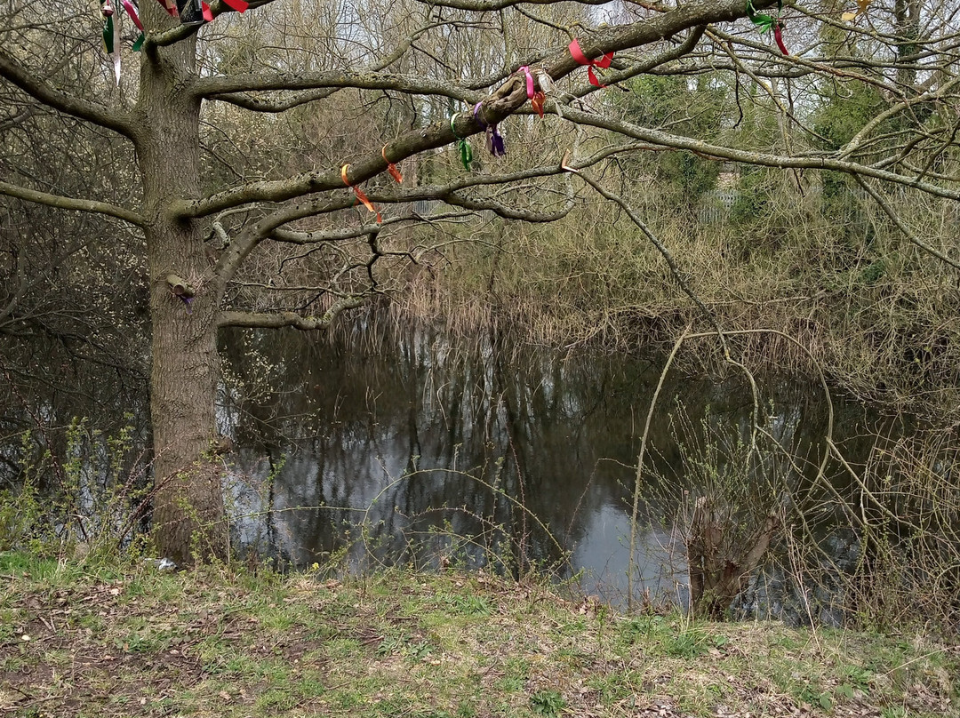 Forbes Hole Local Nature Reserve景点图片