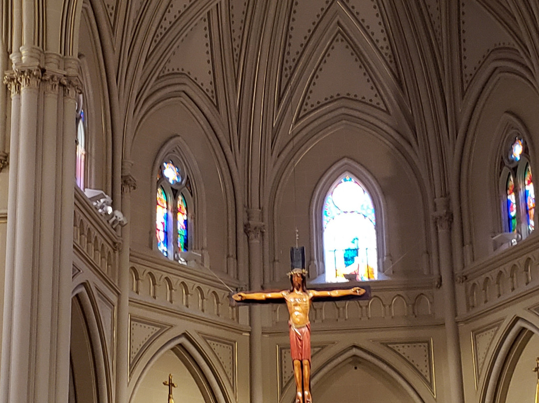 Catedral de San Isidro-圣伊西德罗必去景点