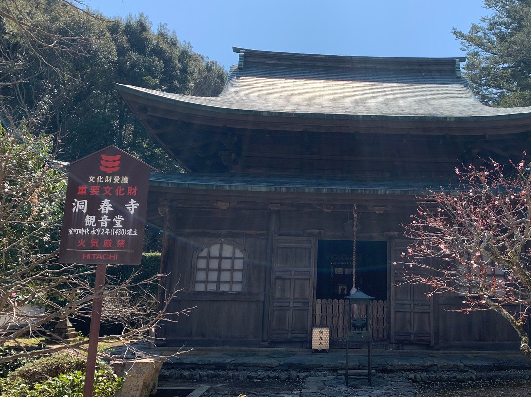 Toshunji Temple景点图片