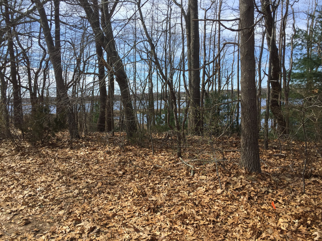 Doug Rayner Wildlife Refuge-Barrington必去景点