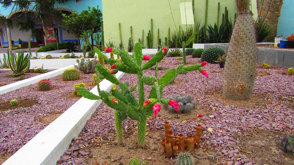 Museo de la Insugencia-Pabellon de Hidalgo必去景点