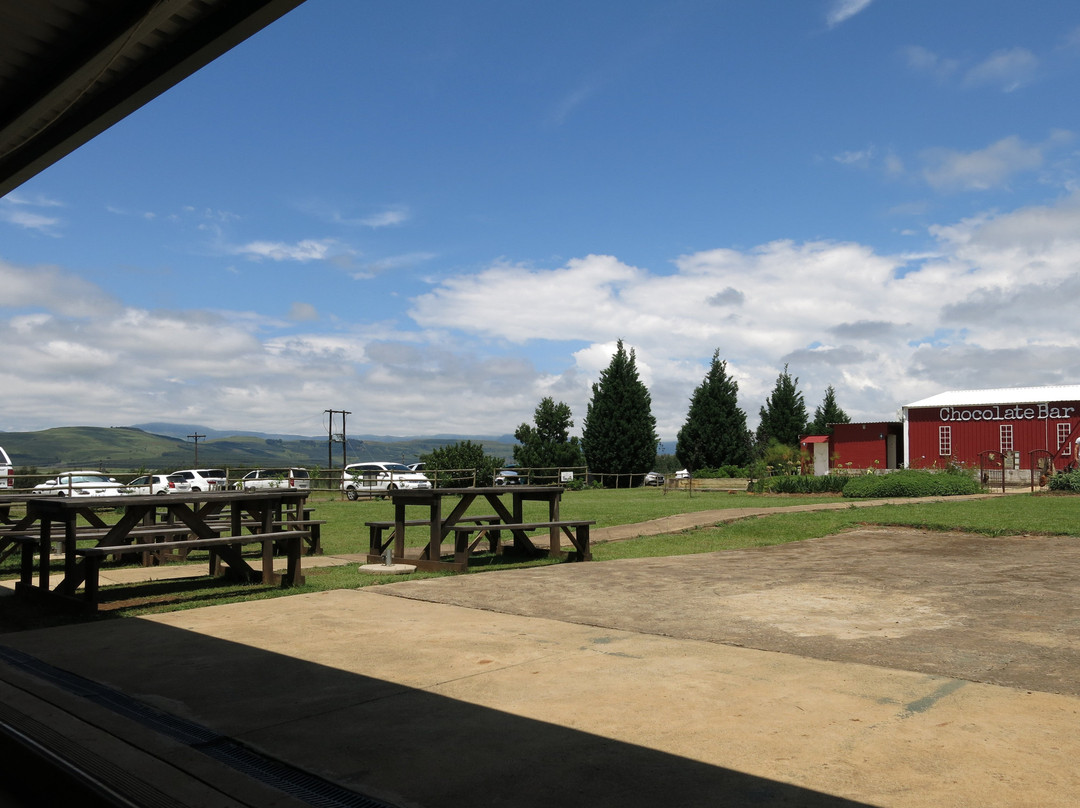 Drakensberg Brewery-Cathkin Park必去景点