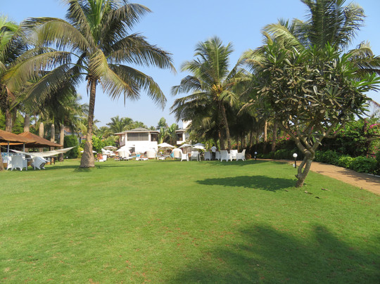 O Hotel Goa, Candolim Beach主图
