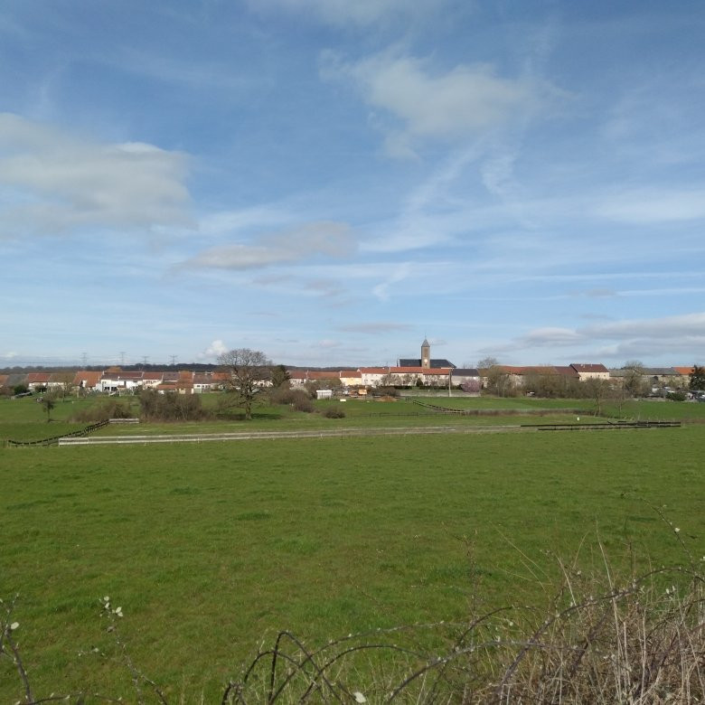 Metzervisse旅游攻略图片