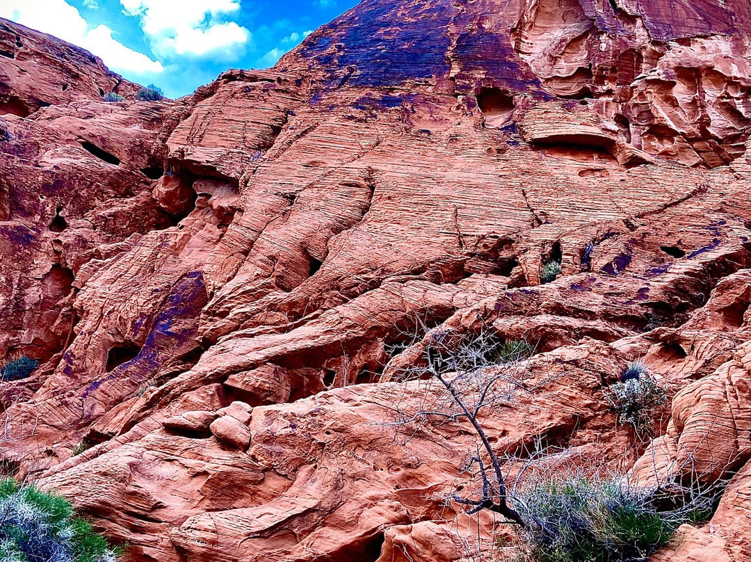 Mouse's Tank-欧弗顿必去景点