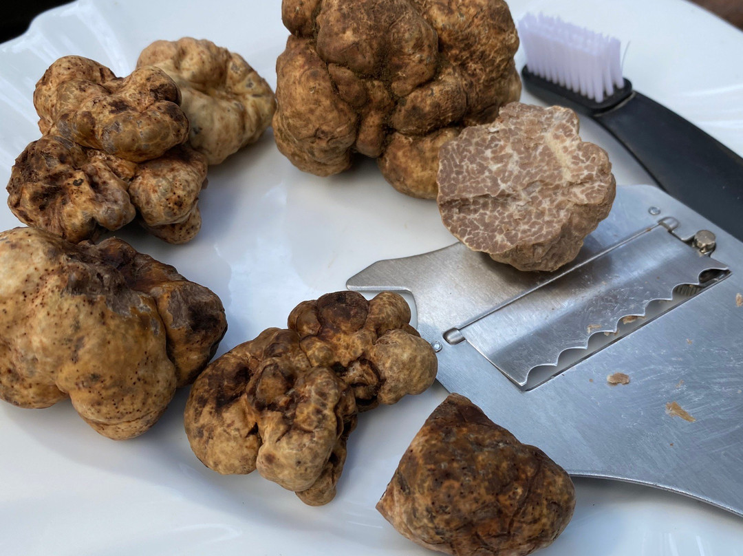 Cyprus Truffles-帕福斯必去景点