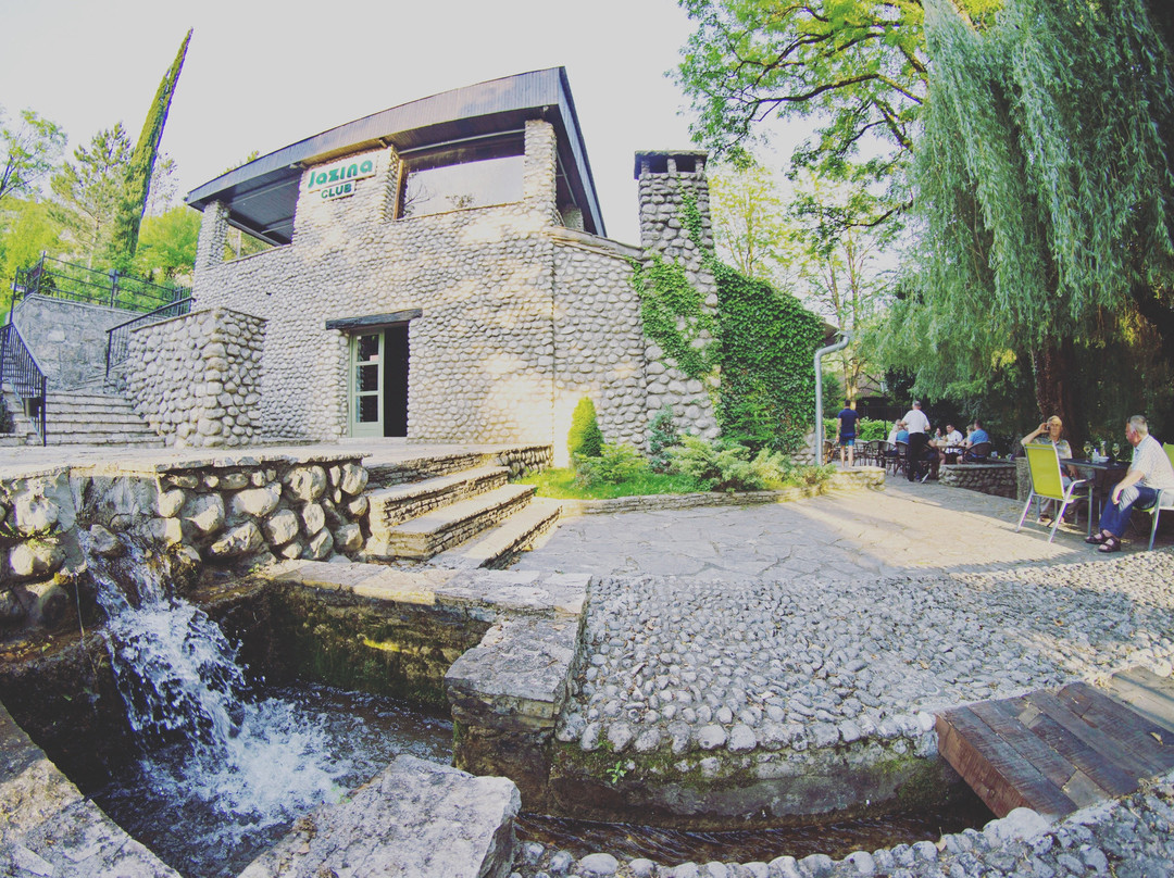 Jazina Club 1972主图