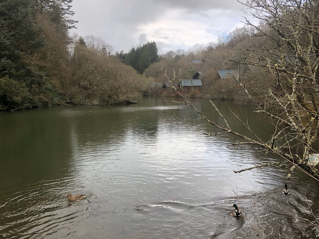 Herodsfoot旅游攻略图片