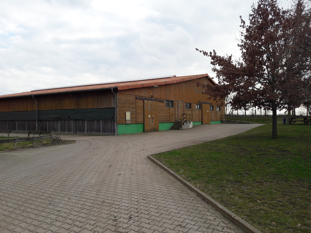 Hohenseefeld酒店住宿-Landgasthof Jüterbog