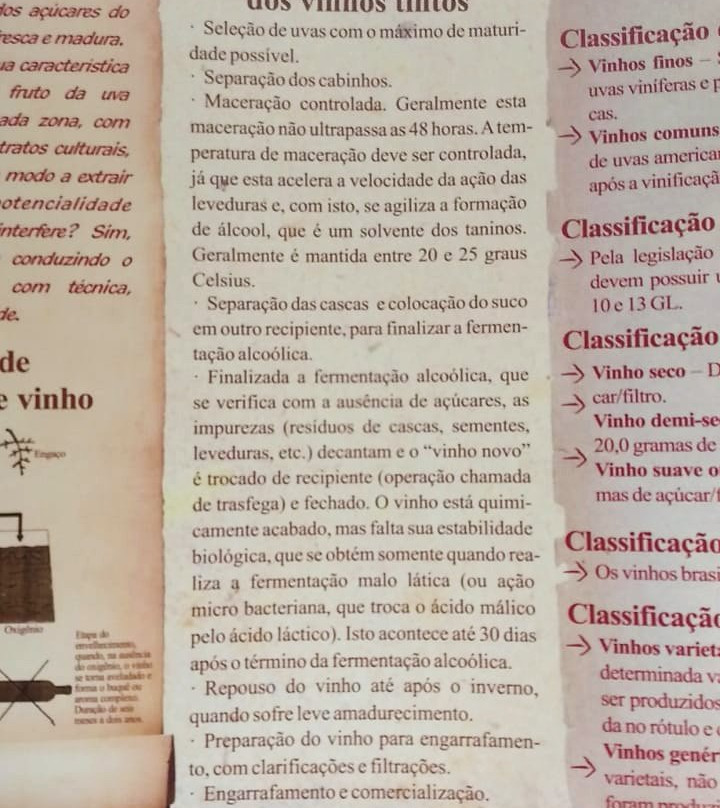 Espaco Cultural Museu do Vinho-容迪亚伊必去景点