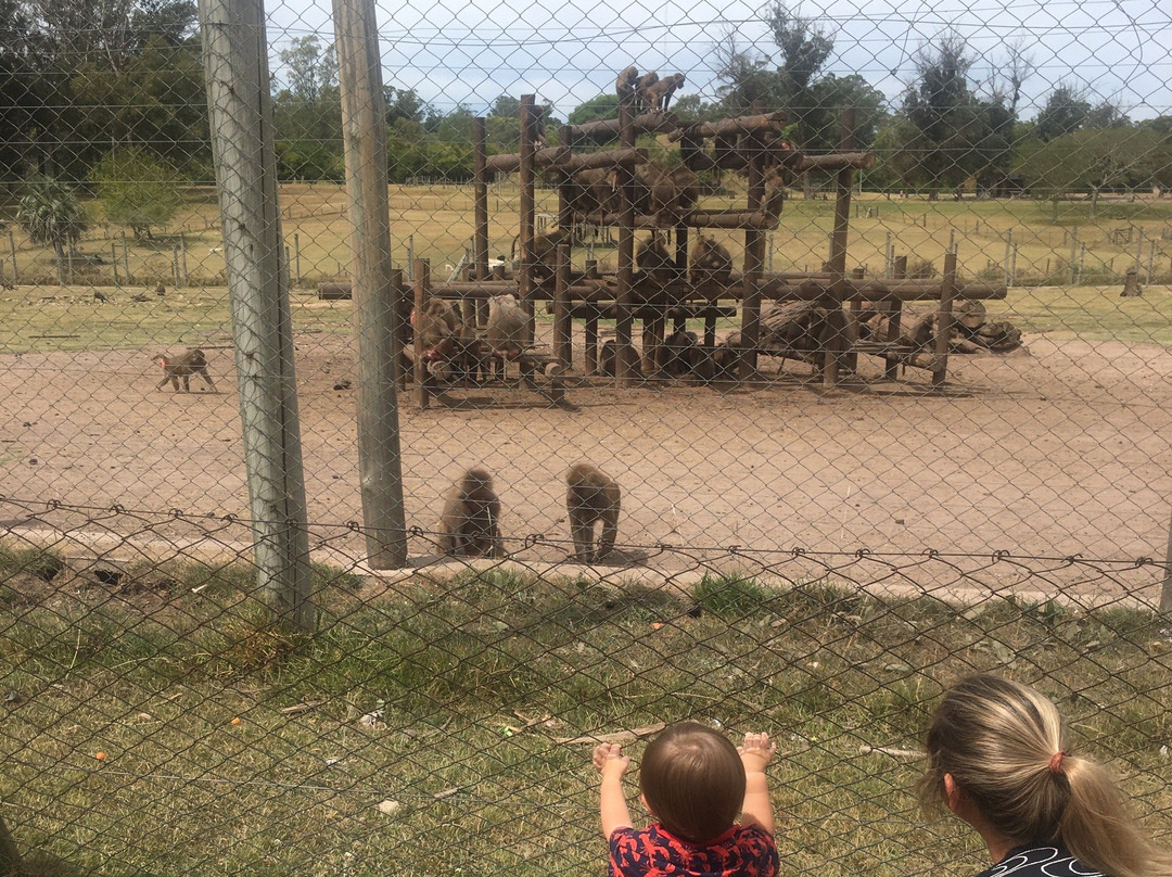 Parque Lecocq-蒙得维的亚必去景点