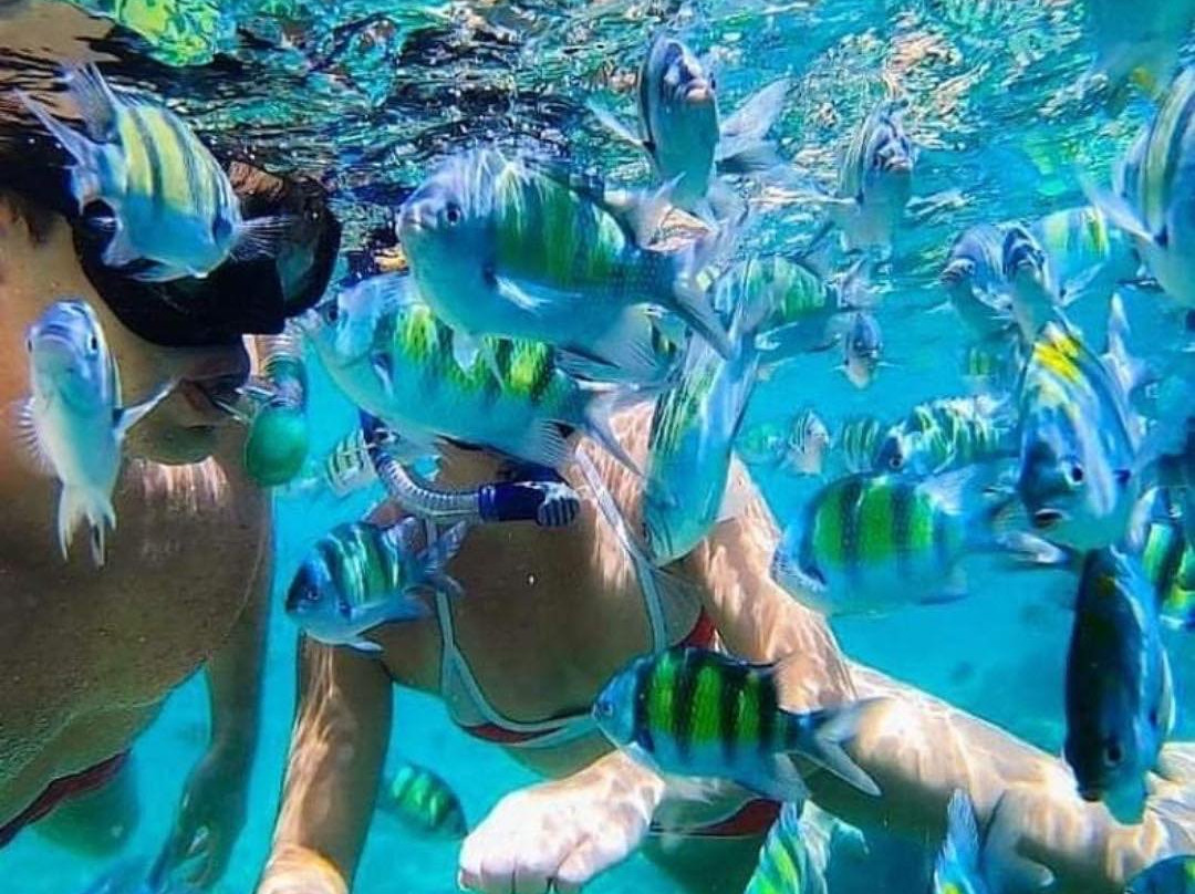 bersinar bali Tour-水明漾必去景点