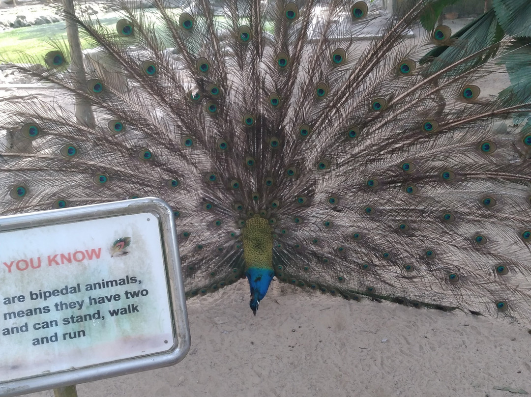 Pilly Holiday Home主图