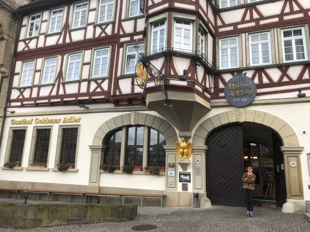 Stadt-gut-Hotel und Gasthof Goldener Adler主图