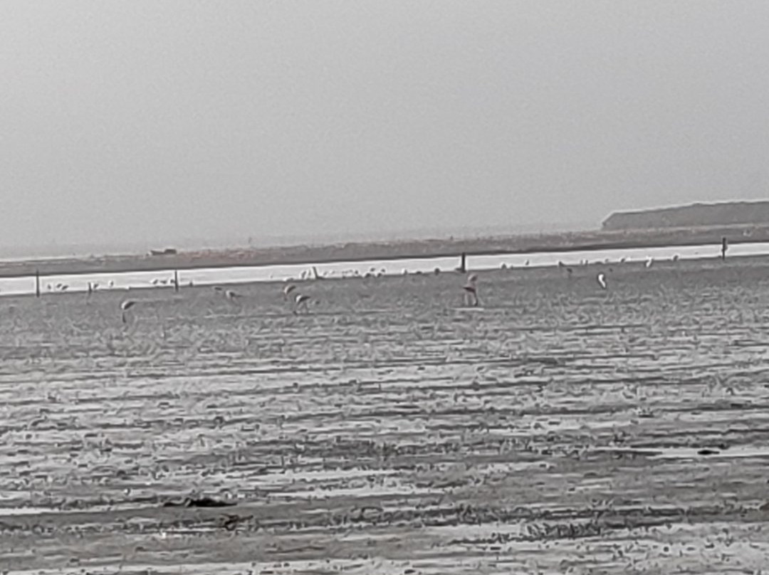 Sagar Vihar-新孟买必去景点