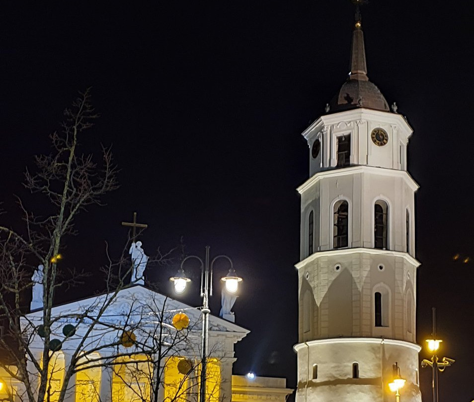 Bell Tower of Vilnius Cathedral景点图片