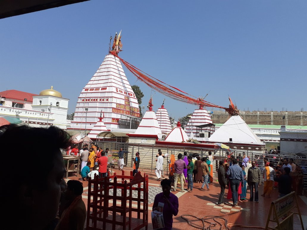 The Vaishnavi Deoghar主图