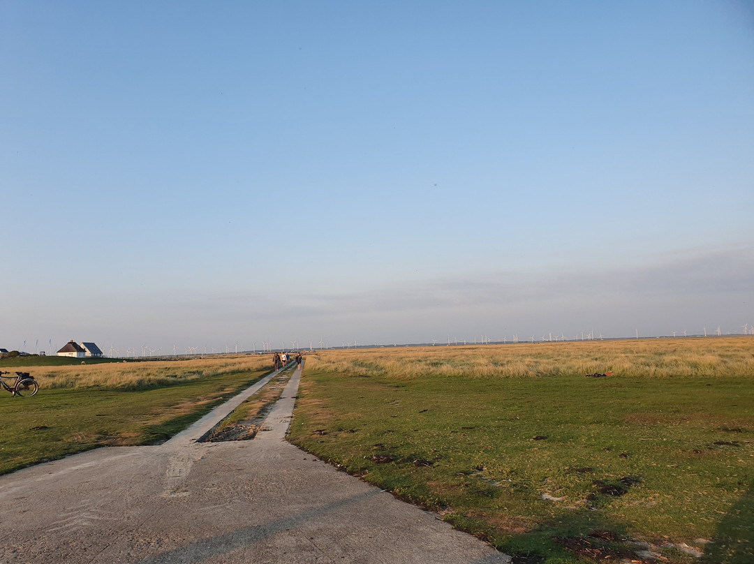 Hamburger Hallig-Bredstedt必去景点