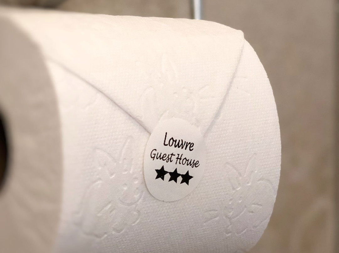 Louvre Guesthouse主图