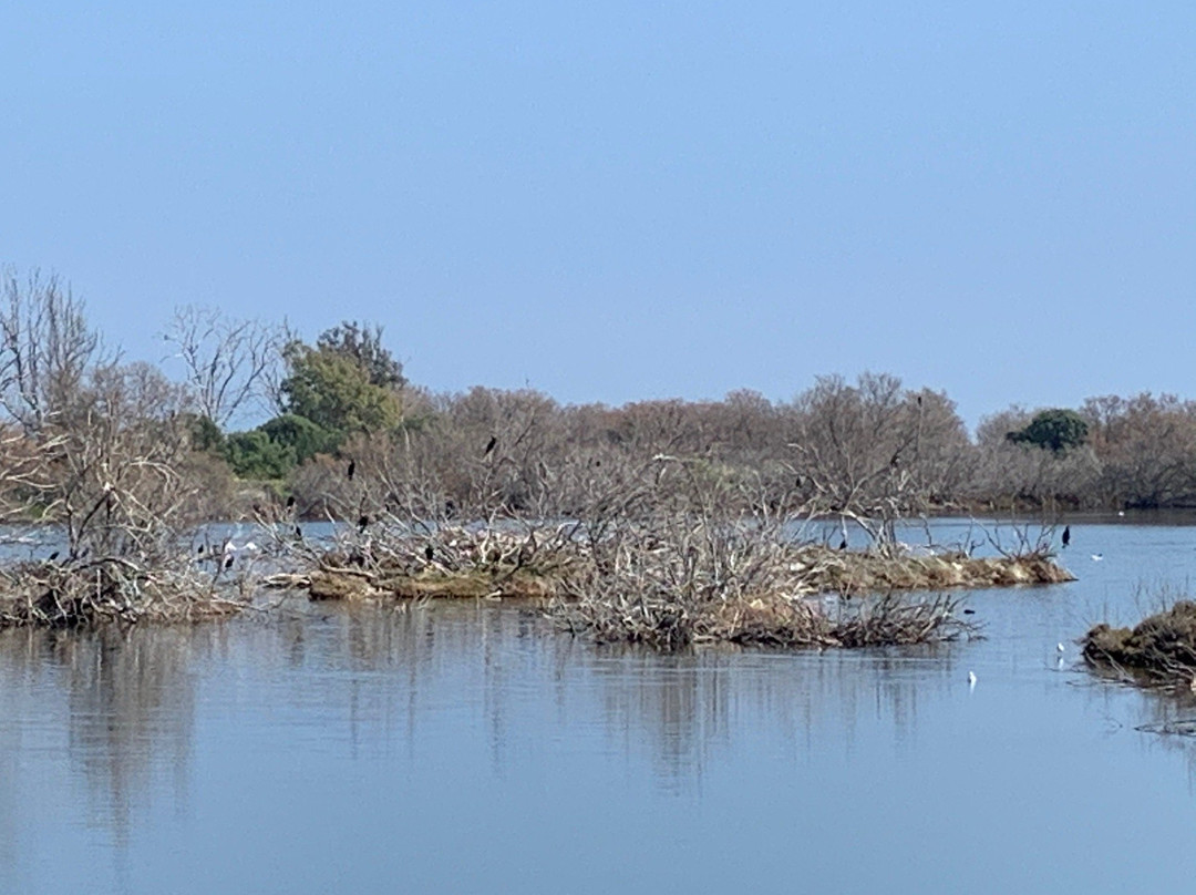 Rio Guadalhorce Nature Reserve景点图片