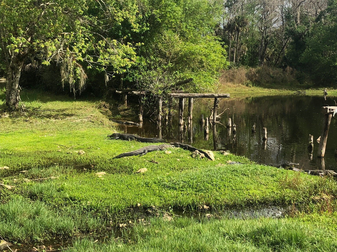 Fred C. Babcock-Cecil M. Webb Wildlife Management Area-蓬塔戈尔达必去景点