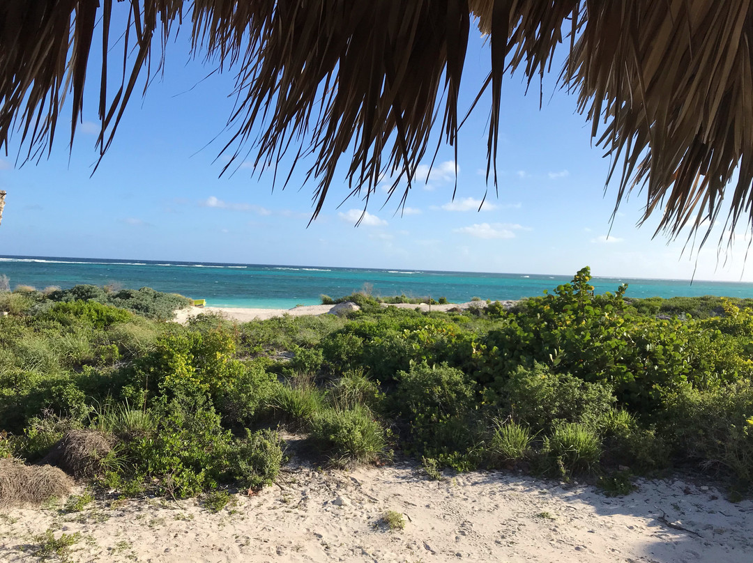 Anegada Beach Club主图