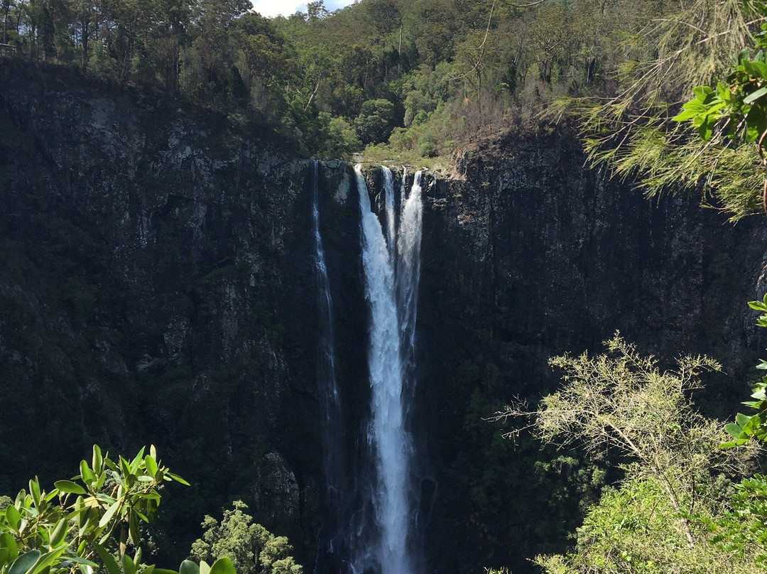 Ellenborough Falls-Elands必去景点