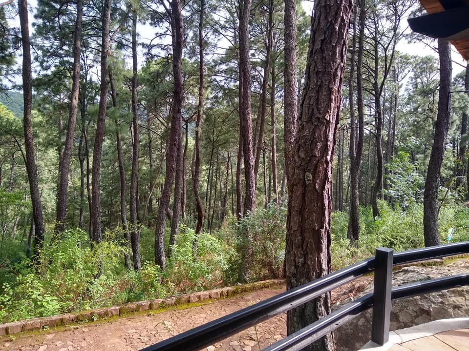 Monteverde Hotel de Cabanas主图