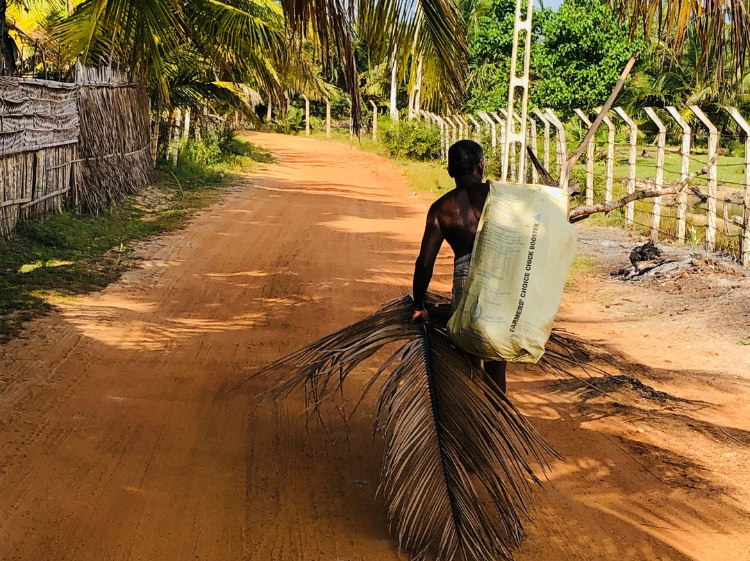 Seth Dev Lagoon Chalets Kalpitiya主图