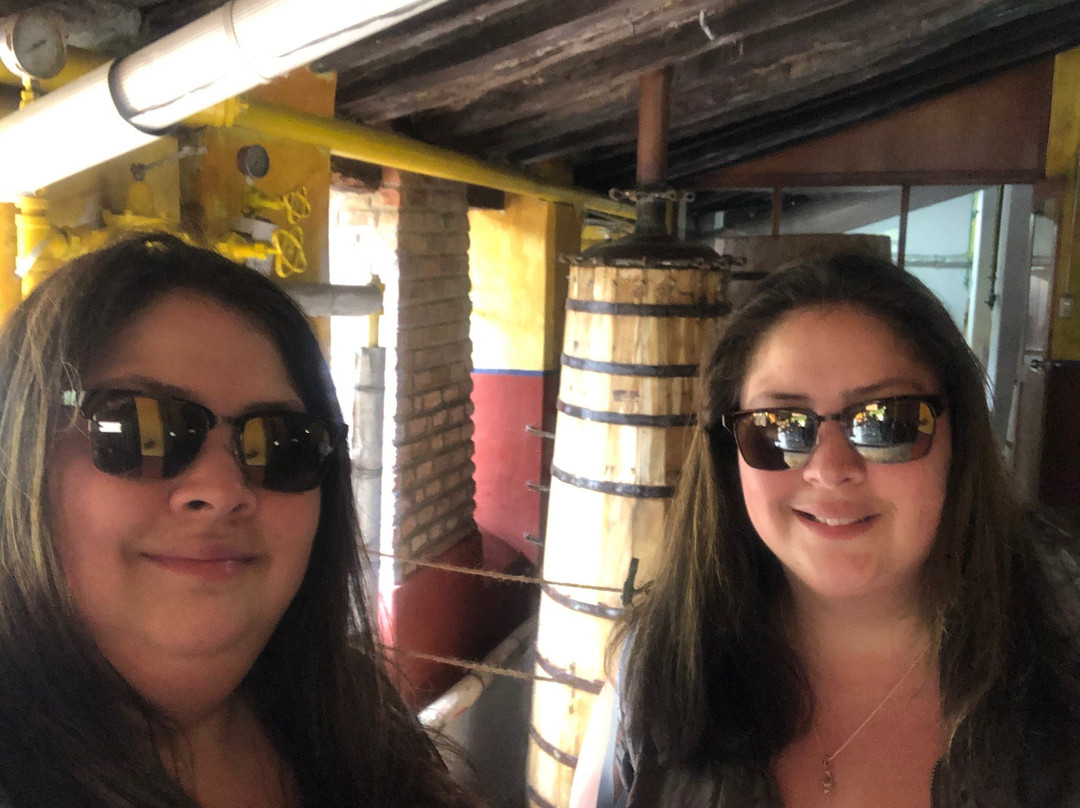 Tour Guide Mazatlan-马萨特兰必去景点