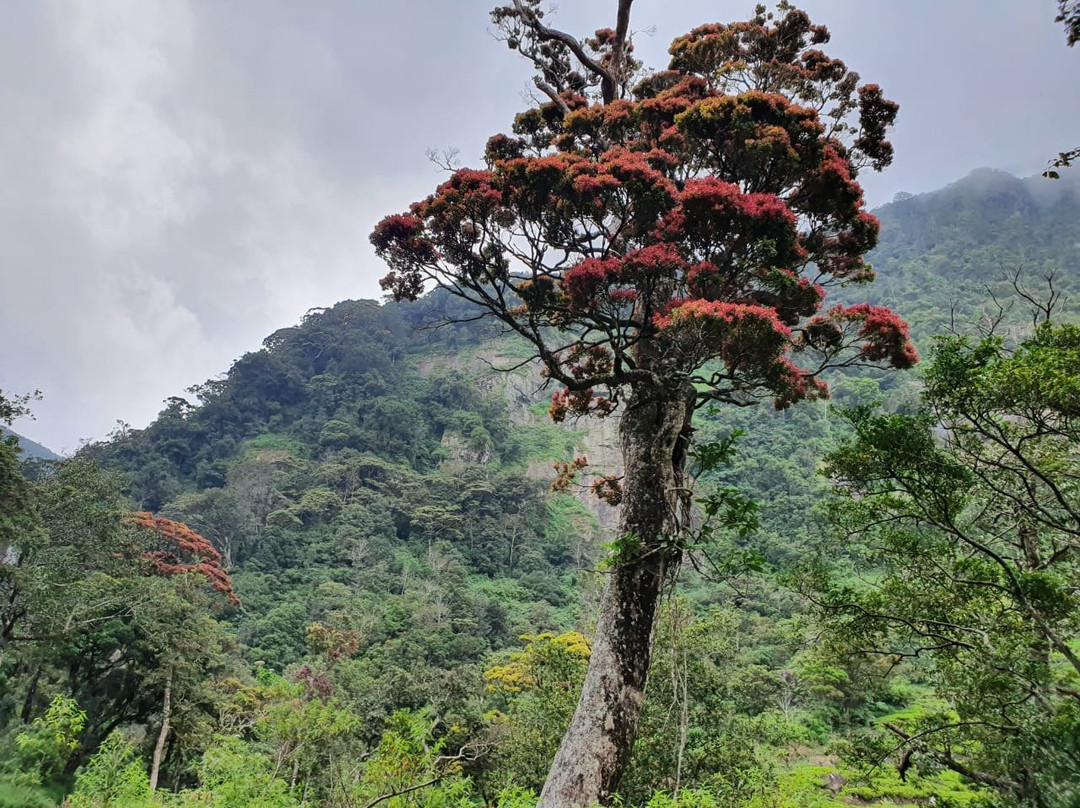 Mandaram Eco Resort主图