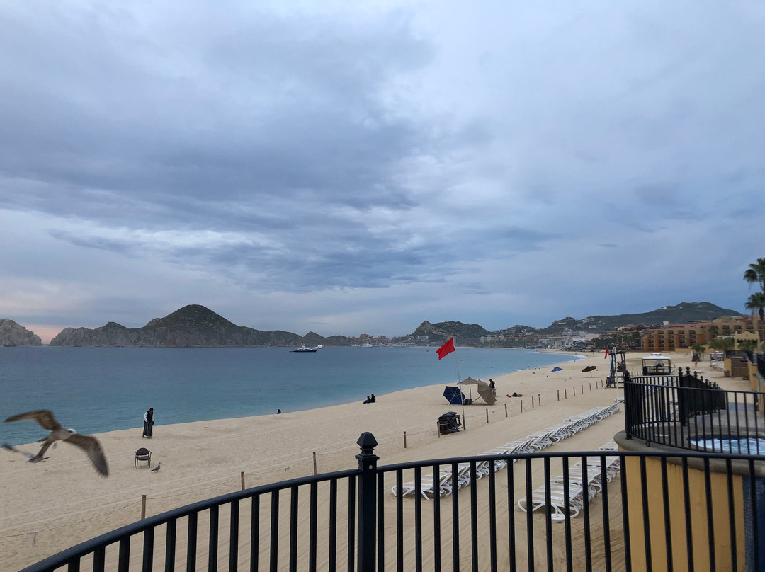 Sante Fe Art-卡波圣卢卡斯必去景点