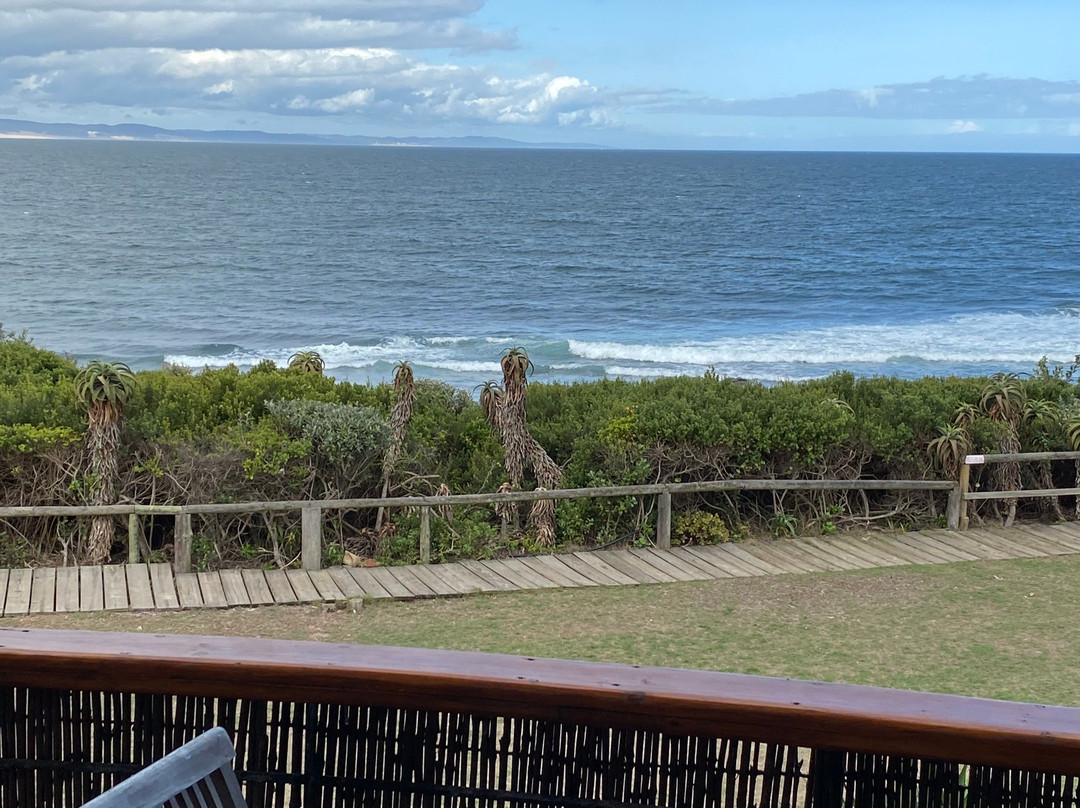 African Perfection Jeffreys Bay主图