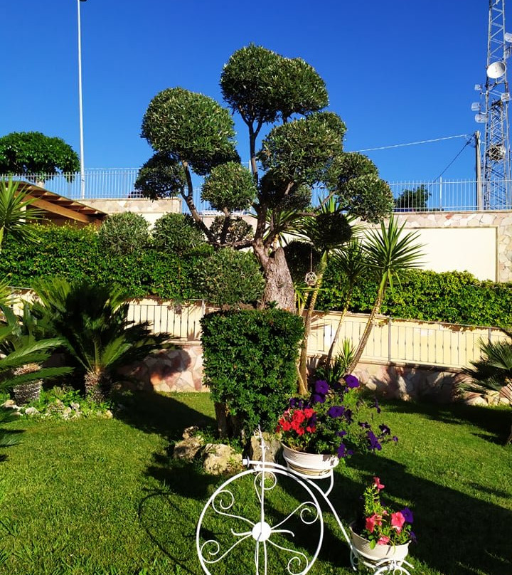 La Felce Imperial Hotel主图