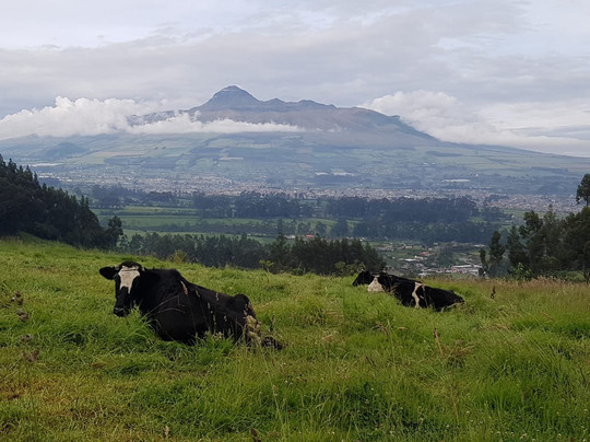 Casa del Montañero主图