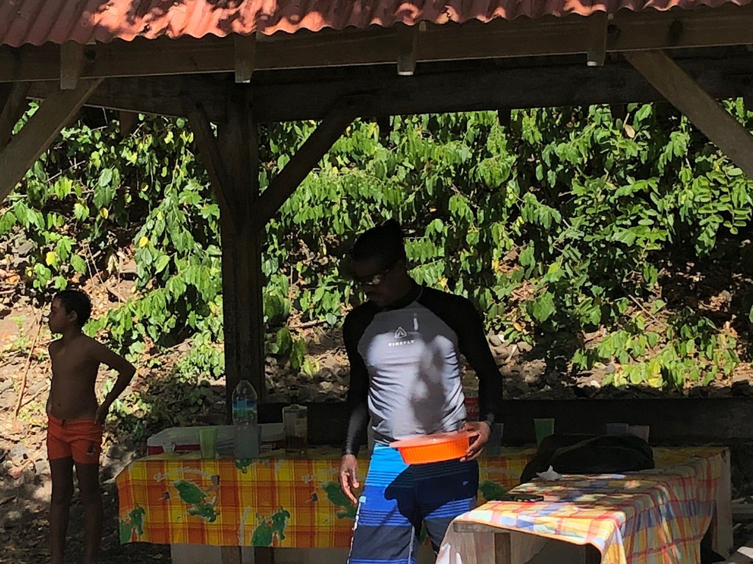 thea-excursion-Le Francois必去景点