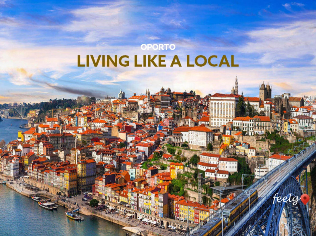FEELGO PORTUGAL, LDA-波尔图必去景点