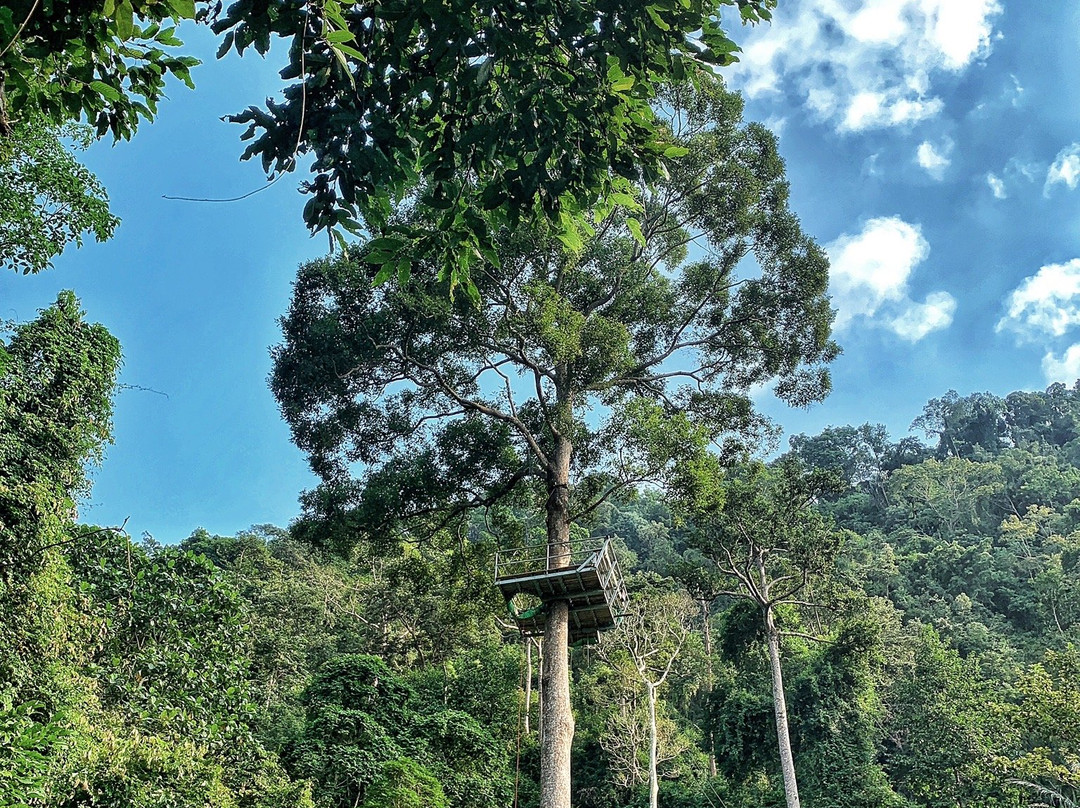 Skyhawk Adventure-红统必去景点