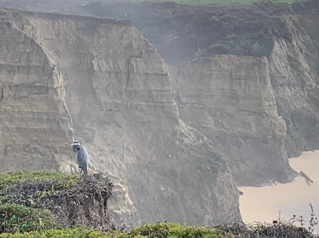Cowell Ranch State Beach-半月湾必去景点