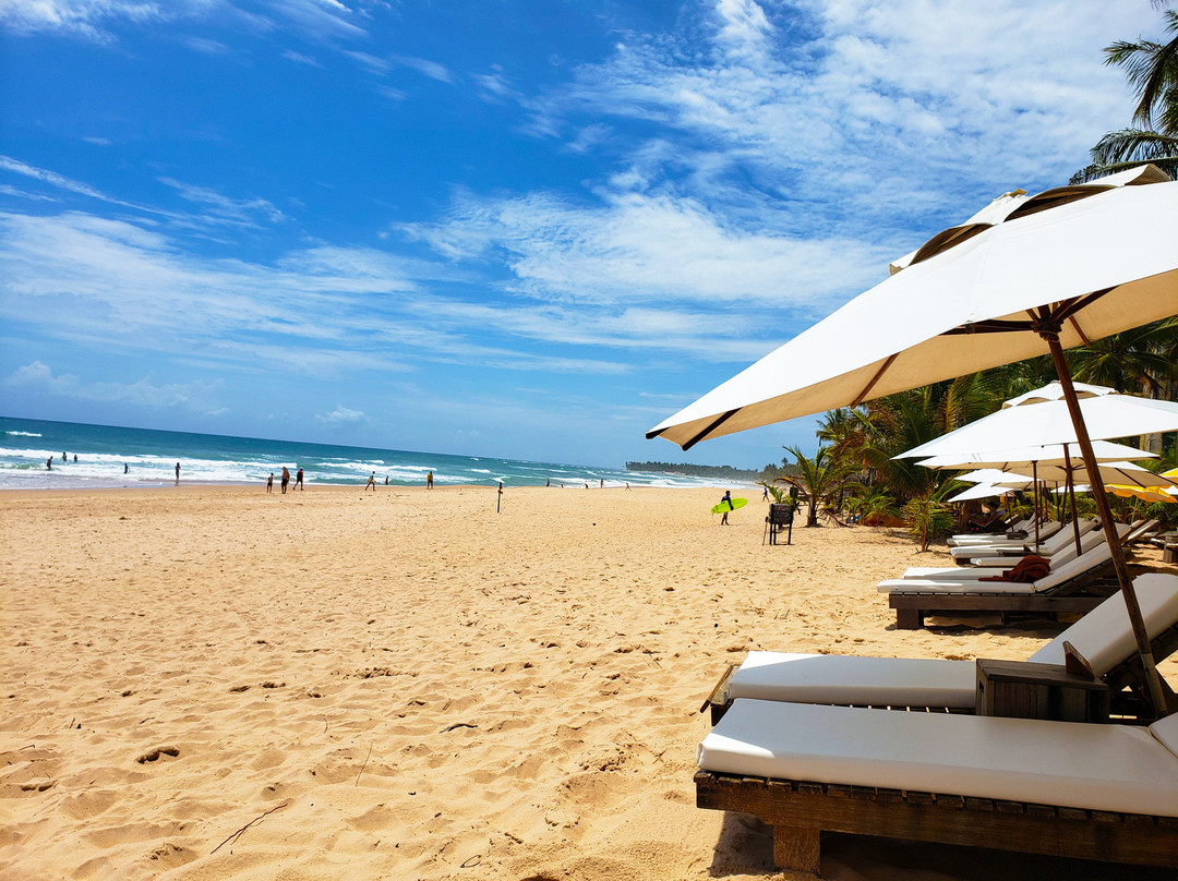 Dreamland Bungalows主图