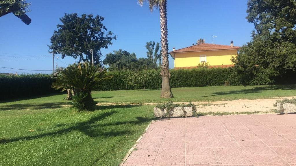 La casa del Moro主图