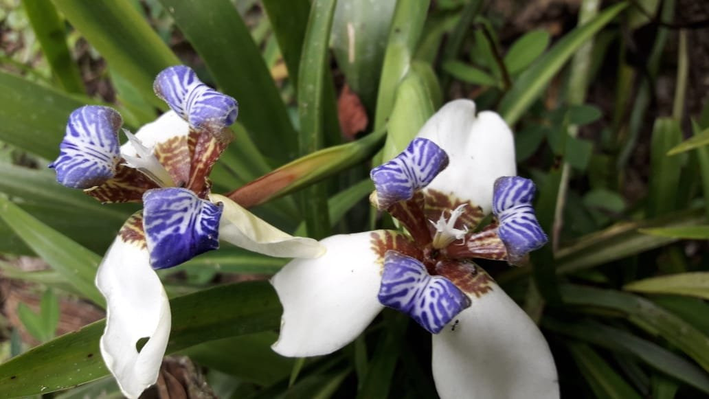 Jardín Botánico San Jorge-Ibague必去景点