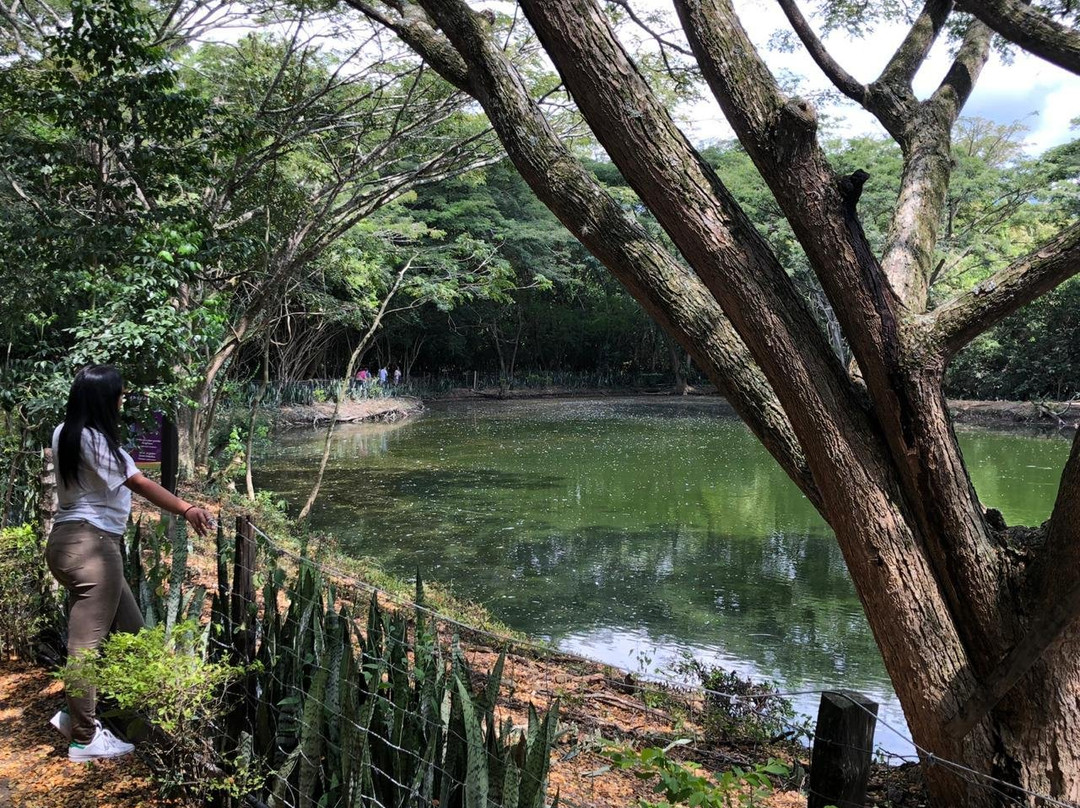 Parque nacional de la Uva-La Union必去景点