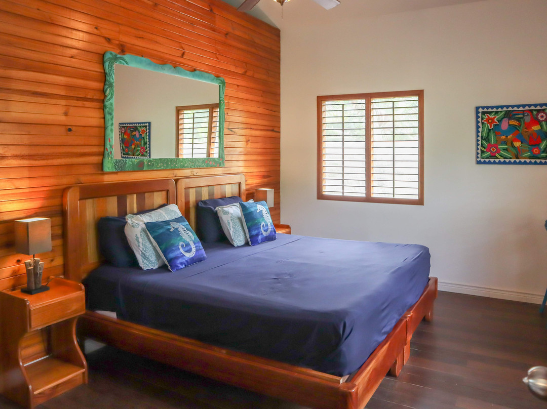 Turtle Beach House主图