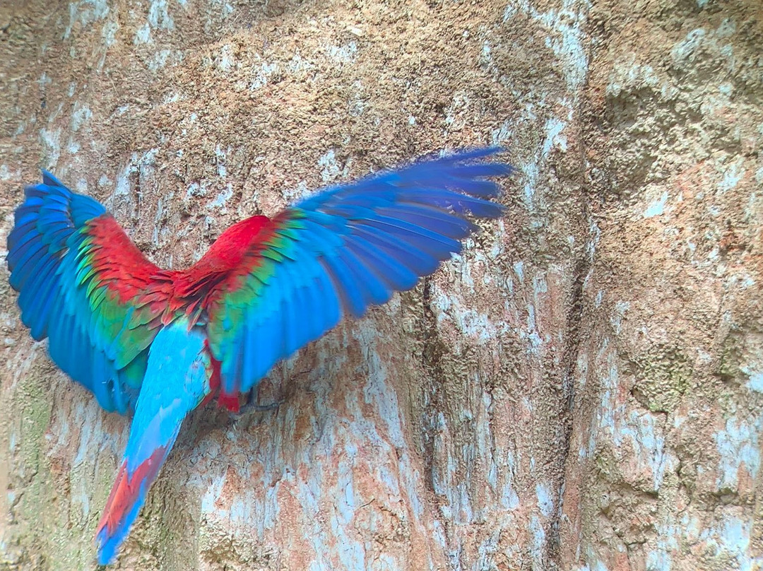 Parque Nacional Del Manu-玛努国家公园必去景点