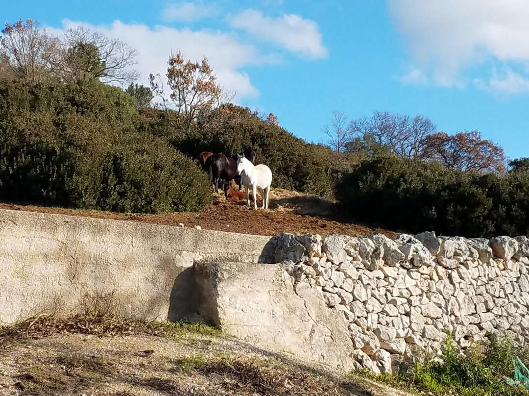 Masseria Paretano主图